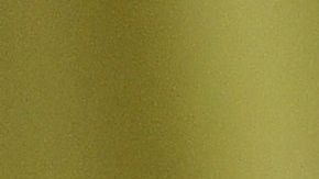 55 % de los estadounidenses "desaprueba fuertemente" a Trump