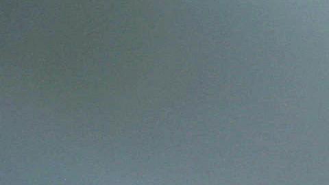 Las autoridades piden la ayuda de la comunidad para combatir la Mara MS-13