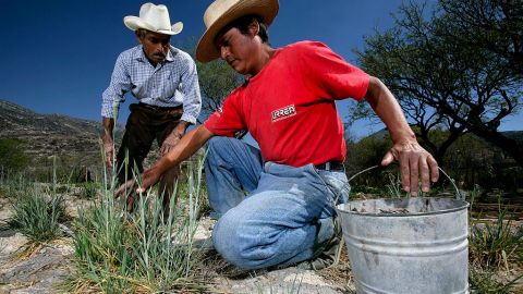 Water Issues in Mexico