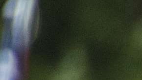 En el país existen al menos 917 grupos de supremacía blanca.