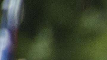 En el país existen al menos 917 grupos de supremacía blanca.