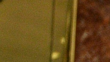 La autoridades están preparadas para fuertes protestas