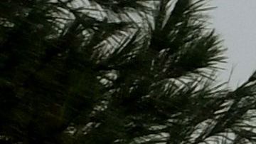 US-WEATHER-HURRICANE-HARVEY