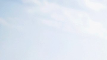 Trump no ha agradecido el gesto del gobierno mexicano