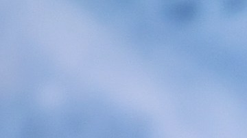 Harry Styles durante la premier de "Dunkirk" en NY