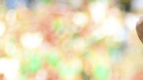 Elias Hern��ndez