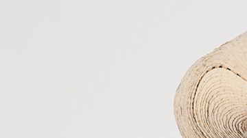 Ignacio López Tarso