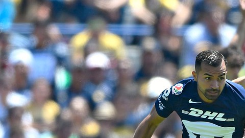 América recibe a Pumas, en duelo de la fecha 3 de la Liga MX