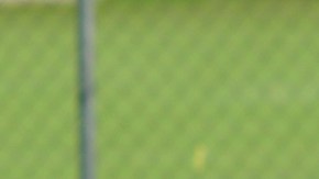 Alan Pulido se recupera de la fractura en el húmero derecho