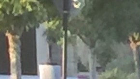 Miembros con esclerois múltiple de Famila Unida.