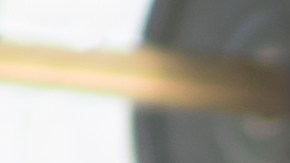 El ejercicio moderado con pesas es fundamental para mantener. prevenir la pérdida de la densidad muscular o incrementarla.