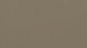 Nathan Damigo, fundador y líder de Identity Evropa.