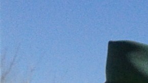 La ley no siempre suena lógica