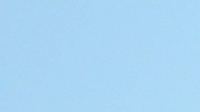 Los proinmigrantes fueron muy claros al rechazar a grupos de odio y supremacistas blancos. (Jorge Luis Macias, Especial para La Opinion)