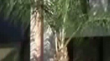 El equipo de paramédicos en el estacionamiento.