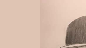 Identikit del sospechoso.