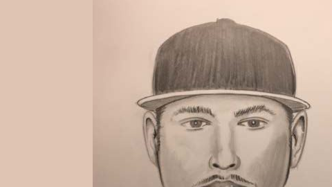 Identikit del sospechoso.