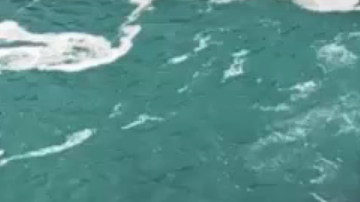 La mancha negra en las Cataratas del Niágara.