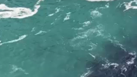 La mancha negra en las Cataratas del Niágara.