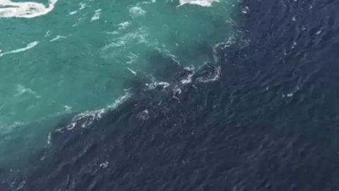 La mancha negra en las Cataratas del Niágara.