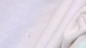 Tus viejas toallas pueden convertirse en una abrigada cama para los perritos del refugio