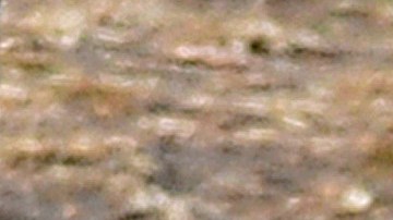 Jennifer Lawrence y Darren Aronofsky