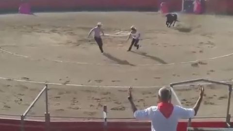 Toro