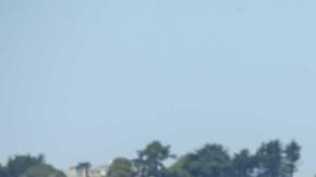 Cientos de manifestantes gritan no al fascismo en Alamo Square, SF