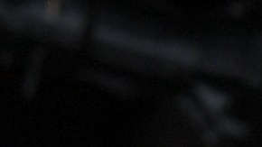 Zayn Malik ex de One Direction.