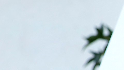 Aurelia Ventura/La Opinion
