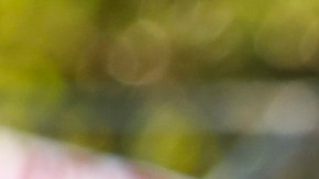 Manifestantes durante una protesta reciente a favor de DACA en Los Ángeles. (Aurelia Ventura/La Opinion)