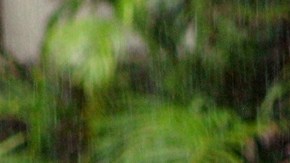 Carlos Salom dijo sentirse arrepentido de sus declaraciones