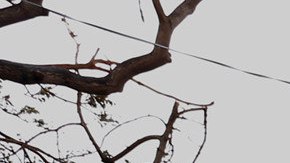 La crecida del río de la Plata por el paso del huracán María por P. Rico.