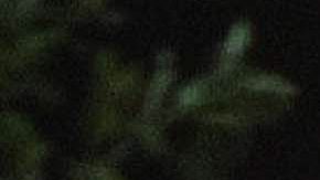 Violencia no cesa en México.