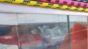 El vendedor de frutas podría haber infectado a quienes le compraron a mediados de agosto