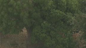 El accidente ha tenido lugar en la autopista 101 cerca del bulevar Westlake