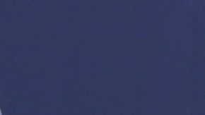 Fabio Fognini no podrá seguir en el US Open por insultos a la juez de línea