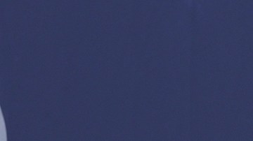 Fabio Fognini no podrá seguir en el US Open por insultos a la juez de línea