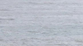 Autoridades reportan daños en edificios en San Juan.