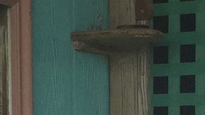 Denis Schneider enfrenta con estoicismo y poesía las consecuencias de Irma.