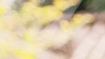 Adoptar una mascota es beneficioso para el estado emocional y físico de niños y adultos.