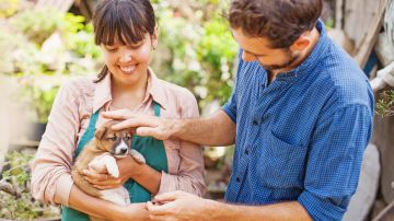 Adoptar una mascota es beneficioso para el estado emocional y físico de niños y adultos.