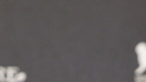 La actriz mexicana quiere ayudar a los damnificados de su país