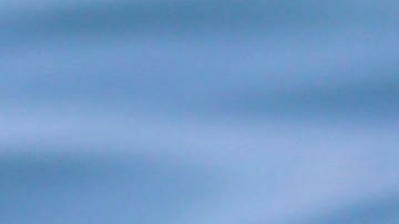 Michelle Rodríguez podría no regresar a Rápido y Furioso.