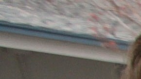 Madres voluntarias ayudan a recoger alimentos no consumidos.