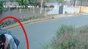 Mujer y ladrones