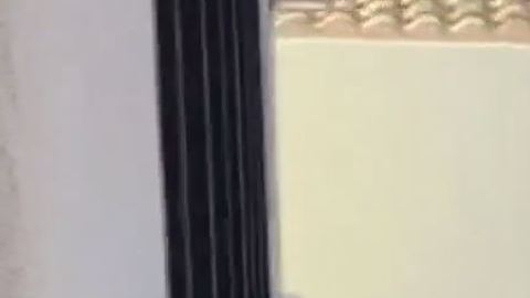 Al comienzo del vídeo se ve a ambos individuos forcejeando en el suelo