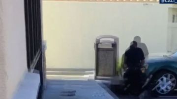 Al comienzo del vídeo se ve a ambos individuos forcejeando en el suelo