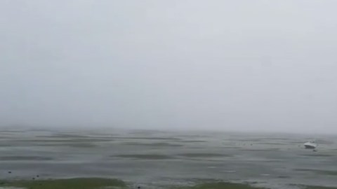 Impactantes imágenes de Key Largo, en Florida