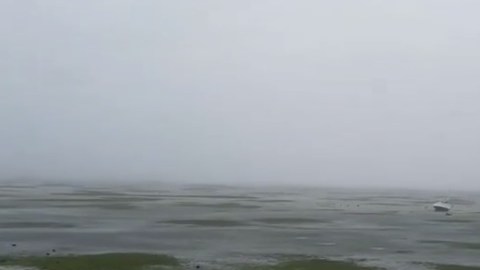 Impactantes imágenes de Key Largo, en Florida